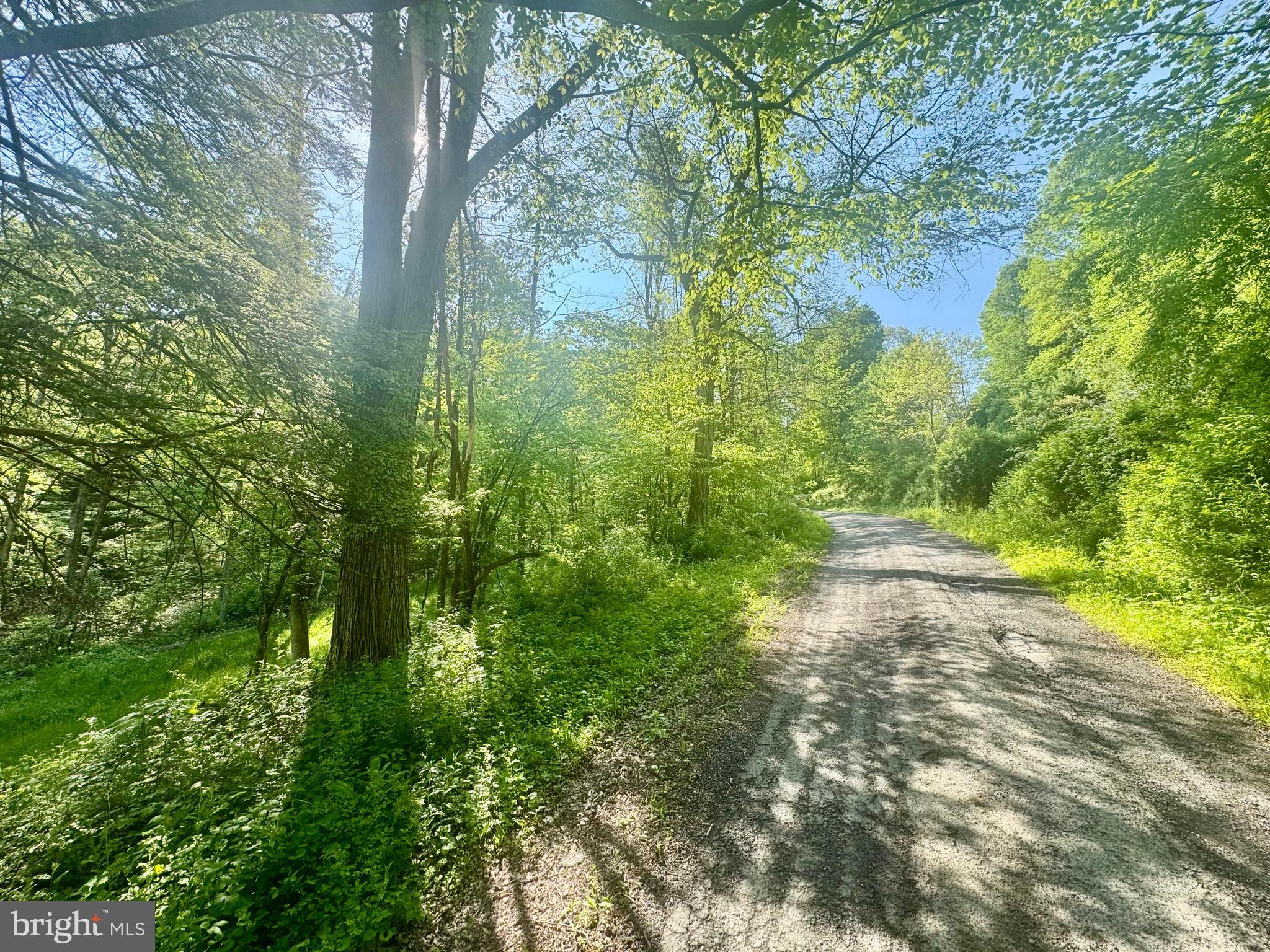 Tract B John Orr Road Independence, WV 26374 - Photo 26 of 30