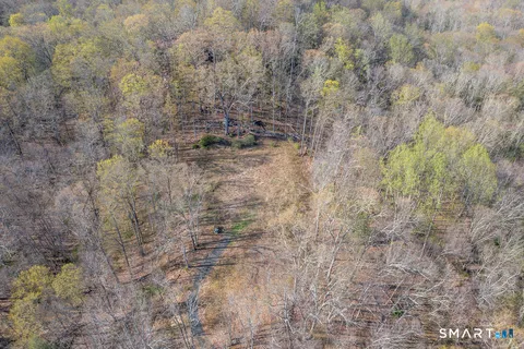 a view of open space with trees