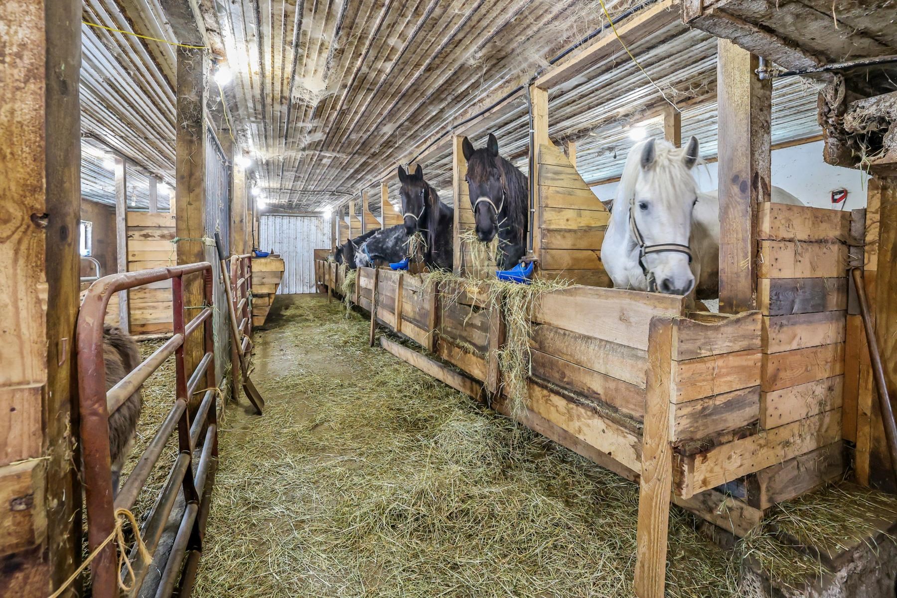 928 Vermont Rte 100 Lowell, VT 05847 - Photo 25 of 51