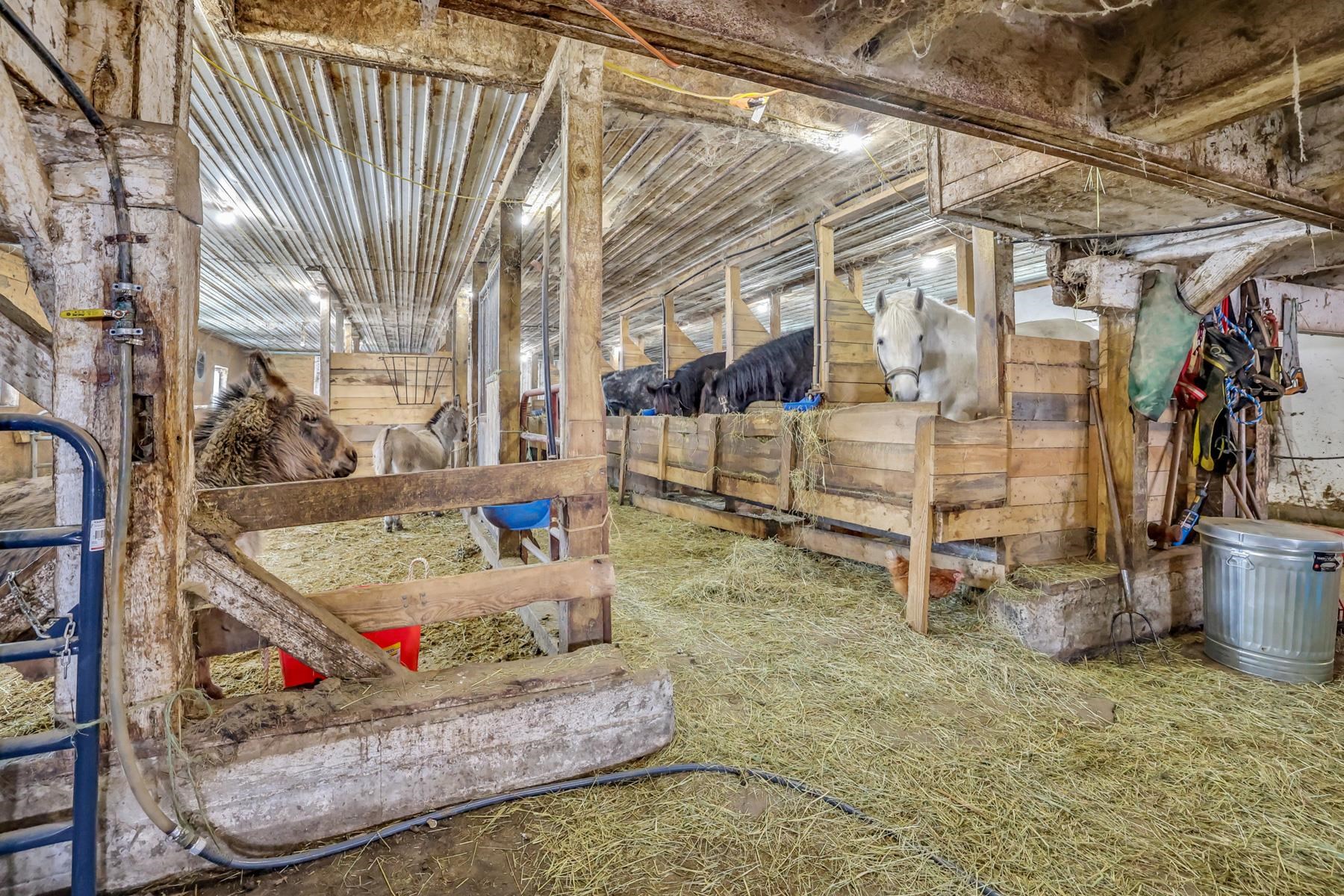 928 Vermont Rte 100 Lowell, VT 05847 - Photo 26 of 51