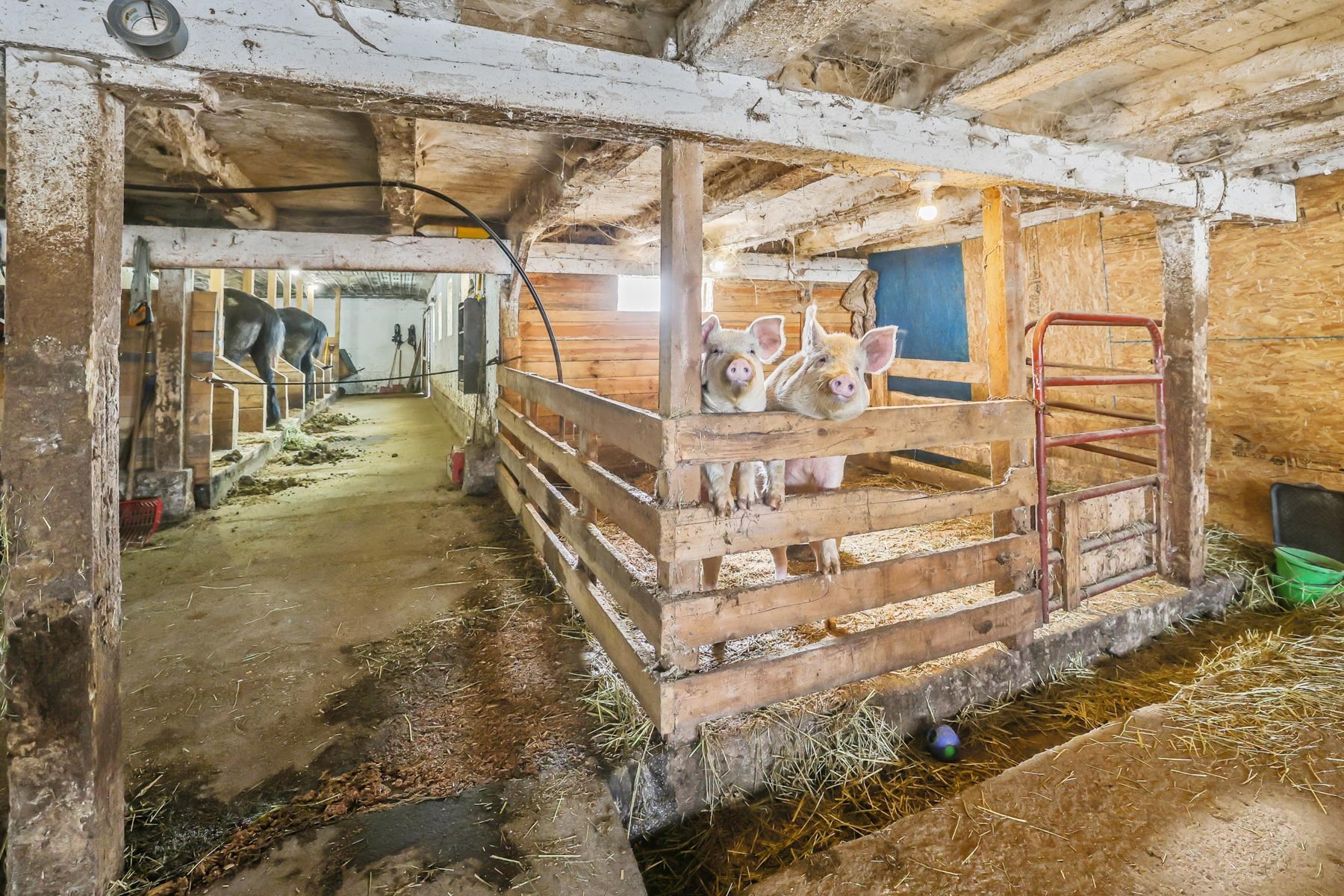 928 Vermont Rte 100 Lowell, VT 05847 - Photo 29 of 51