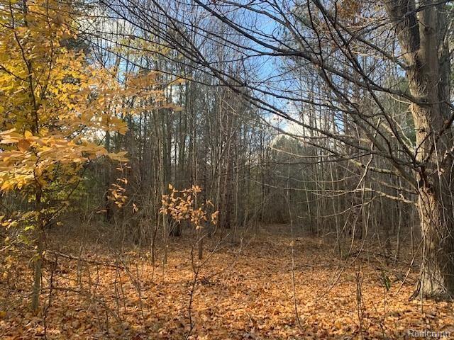 V/l West Mount Morris Road Flushing, MI 48433 - Photo 1 of 6