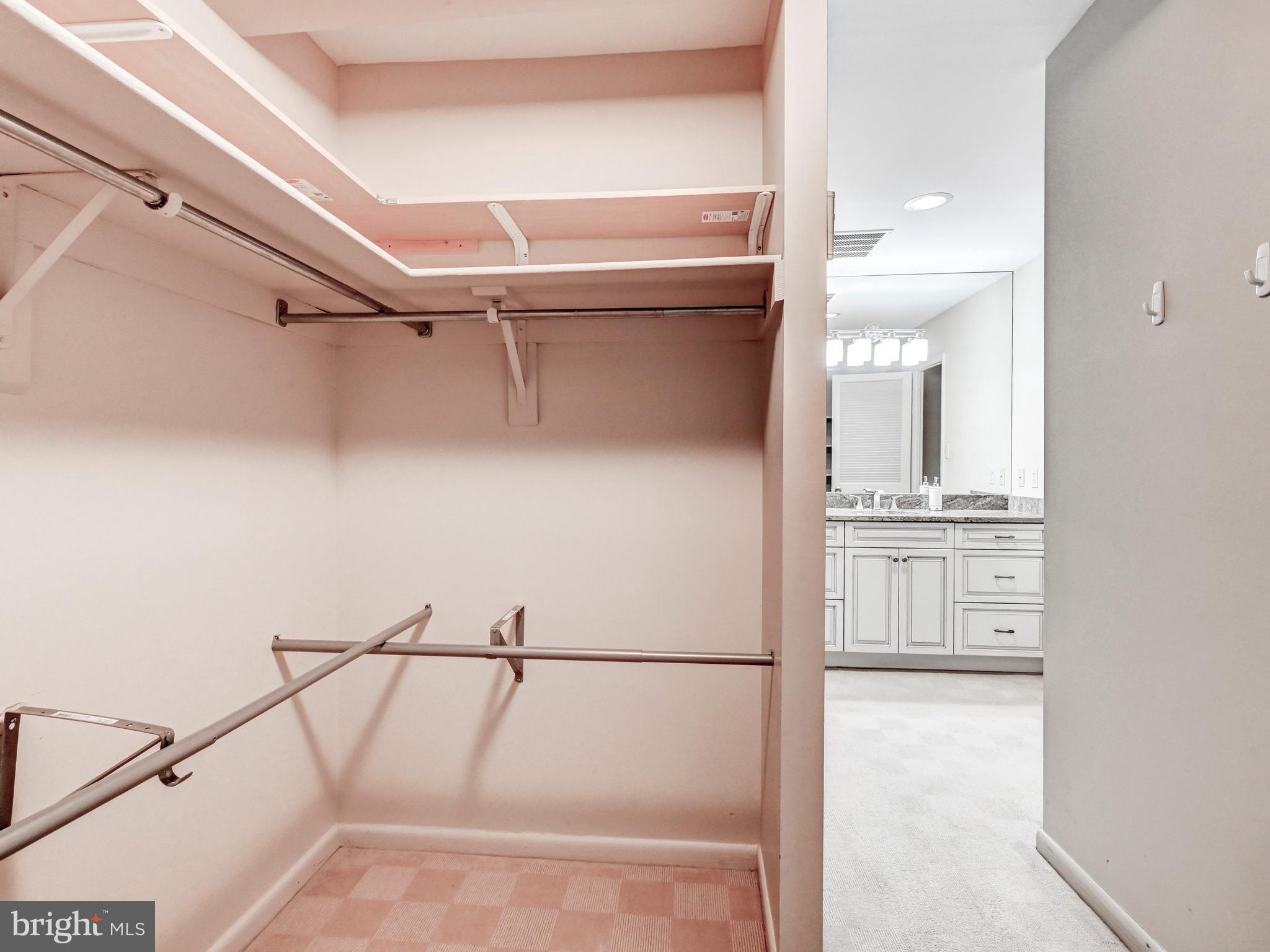 17 Pacers Lane, Unit F Pikesville, MD 21208 - Photo 20 of 24 Large Primary Bedroom Closet