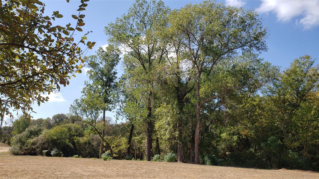 Tbd Canyon Ridge Drive Waco, TX 76705 - Photo 15 of 18 a view of a outdoor space with trees