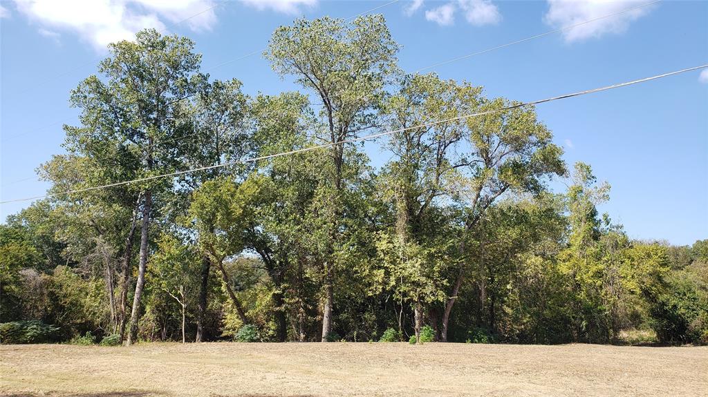 Tbd Canyon Ridge Drive Waco, TX 76705 - Photo 18 of 18 a view of a backyard