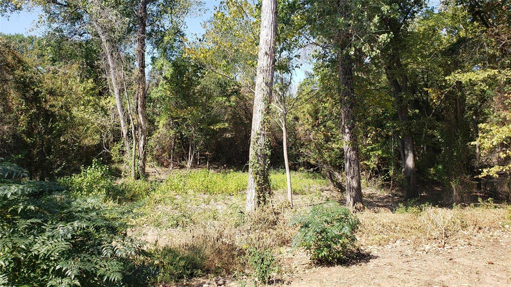 Tbd Canyon Ridge Drive Waco, TX 76705 - Photo 7 of 18 a view of backyard space and trees
