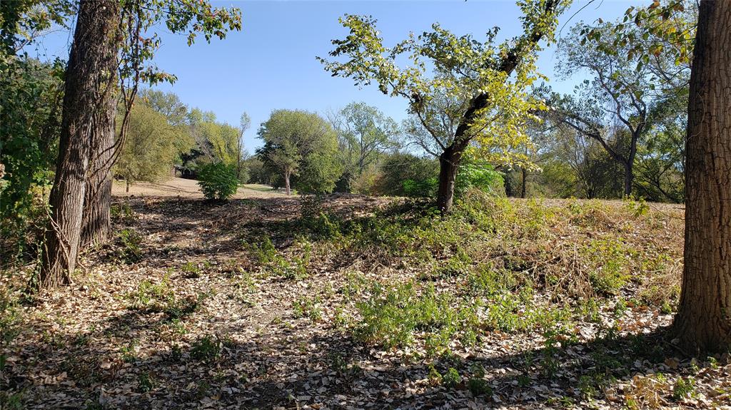 Tbd Canyon Ridge Drive Waco, TX 76705 - Photo 8 of 18 a view of a yard with plants and trees