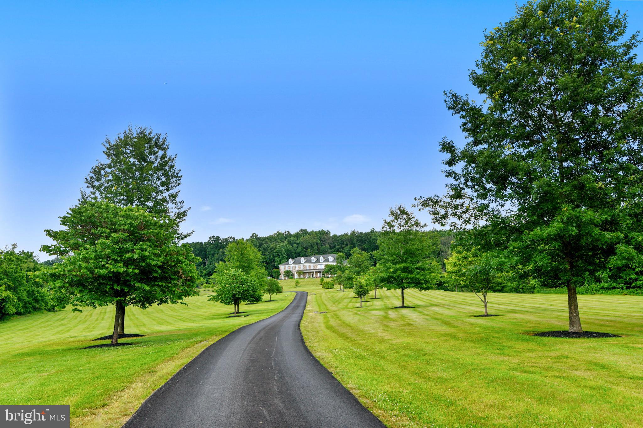 14416 Loyalty Road Leesburg, VA 20176 - Photo 2 of 61 Tree lined drive welcomes you home