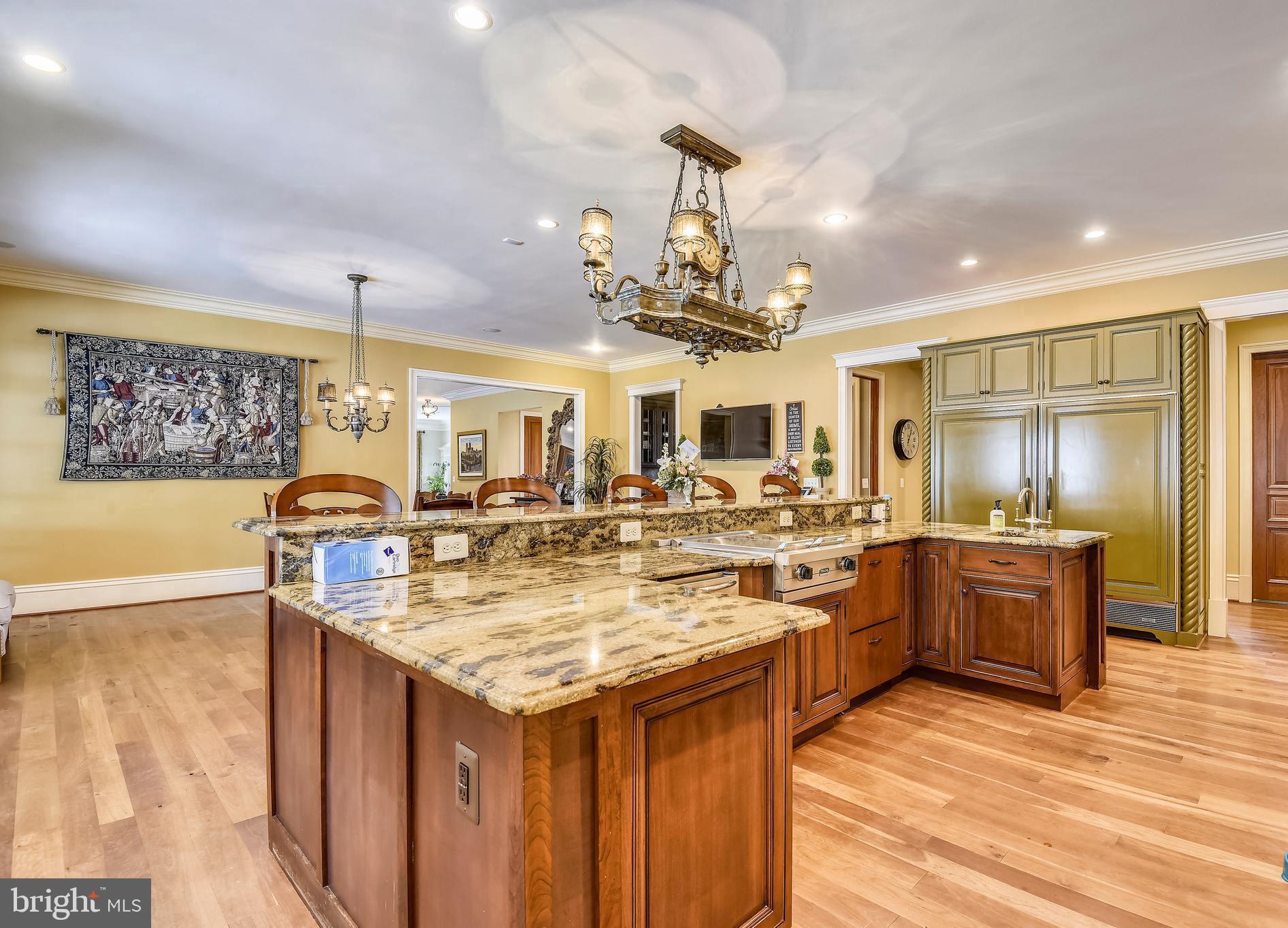 14416 Loyalty Road Leesburg, VA 20176 - Photo 12 of 61 Chef's kitchen w/ subzero, Viking range & cooktop