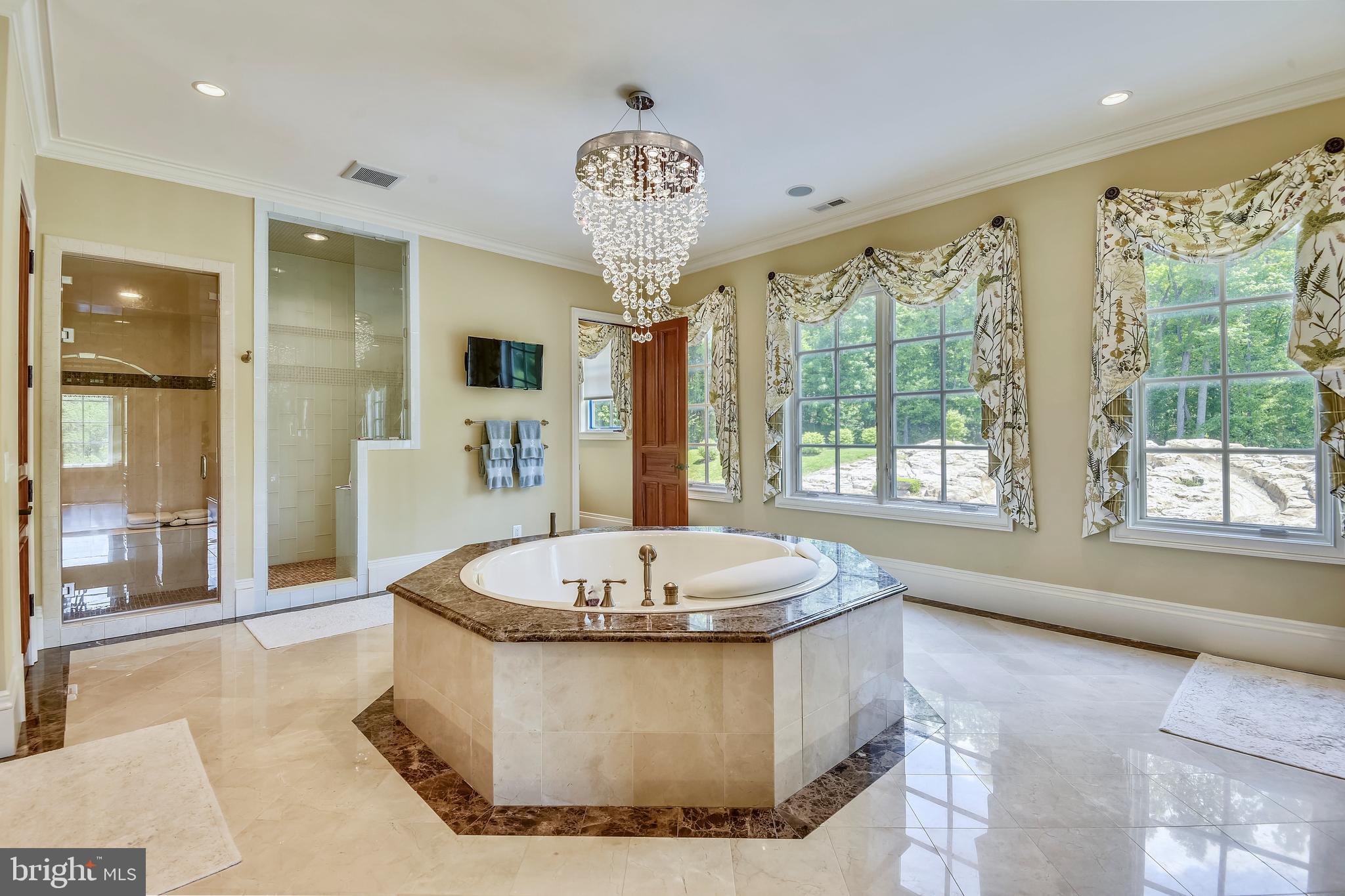14416 Loyalty Road Leesburg, VA 20176 - Photo 13 of 61 Owners' bath w/ separate steam shower, jetted tub