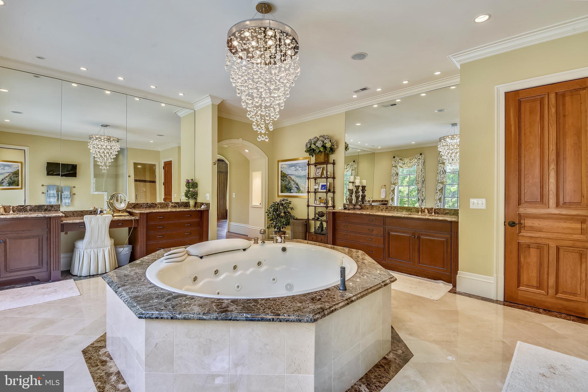 14416 Loyalty Road Leesburg, VA 20176 - Photo 34 of 61 Owners' suite luxury bath