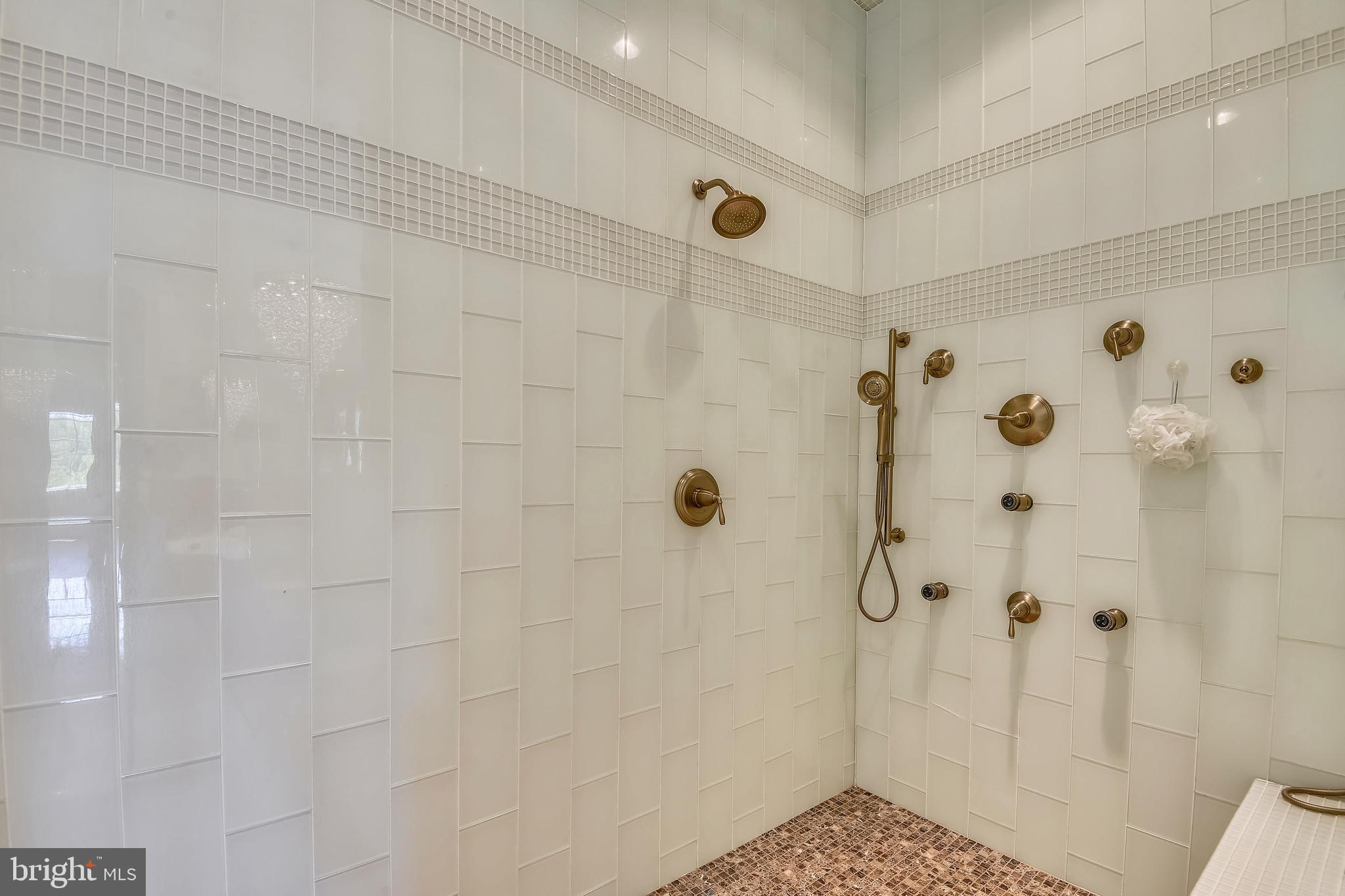 14416 Loyalty Road Leesburg, VA 20176 - Photo 35 of 61 Owners' suite oversized spa shower