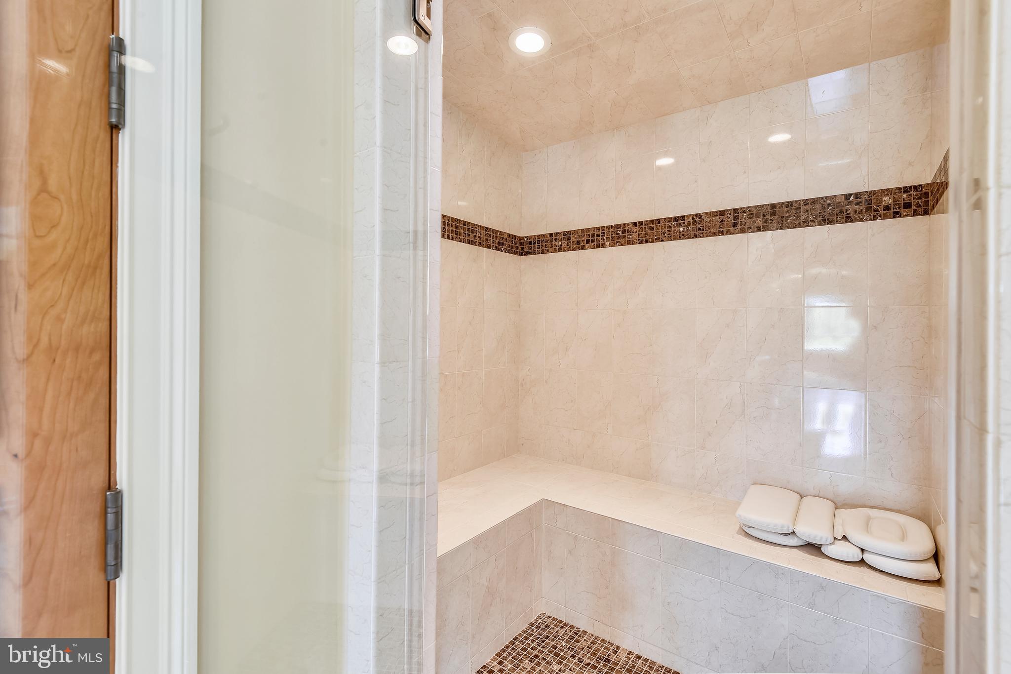 14416 Loyalty Road Leesburg, VA 20176 - Photo 36 of 61 Owners' suite separate steam shower