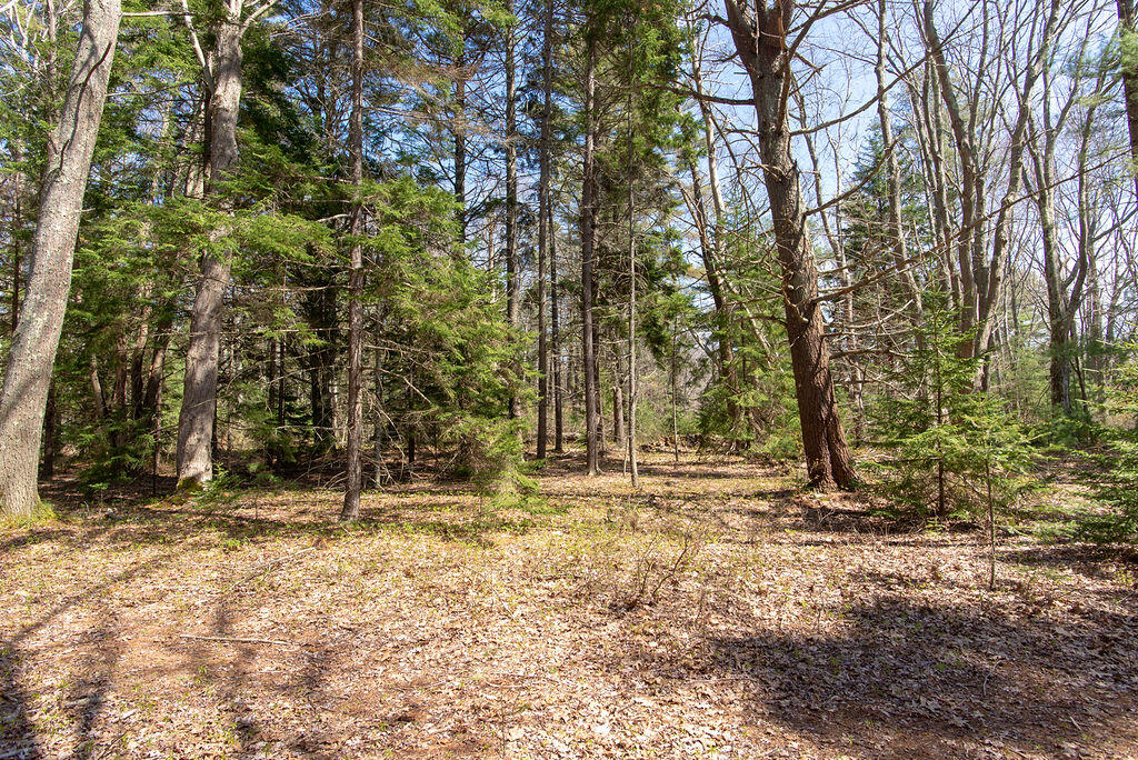 Lot 50 Charleston Road Chebeague Island, ME 04017 - Photo 8 of 11 50c-39