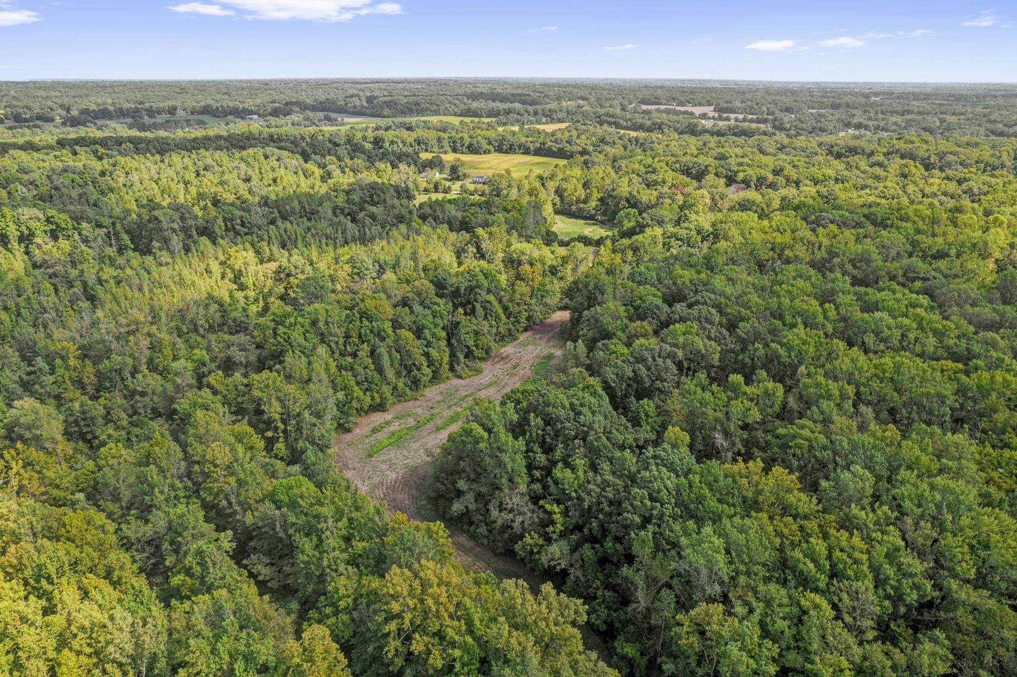 a view of a city with lush green forest
