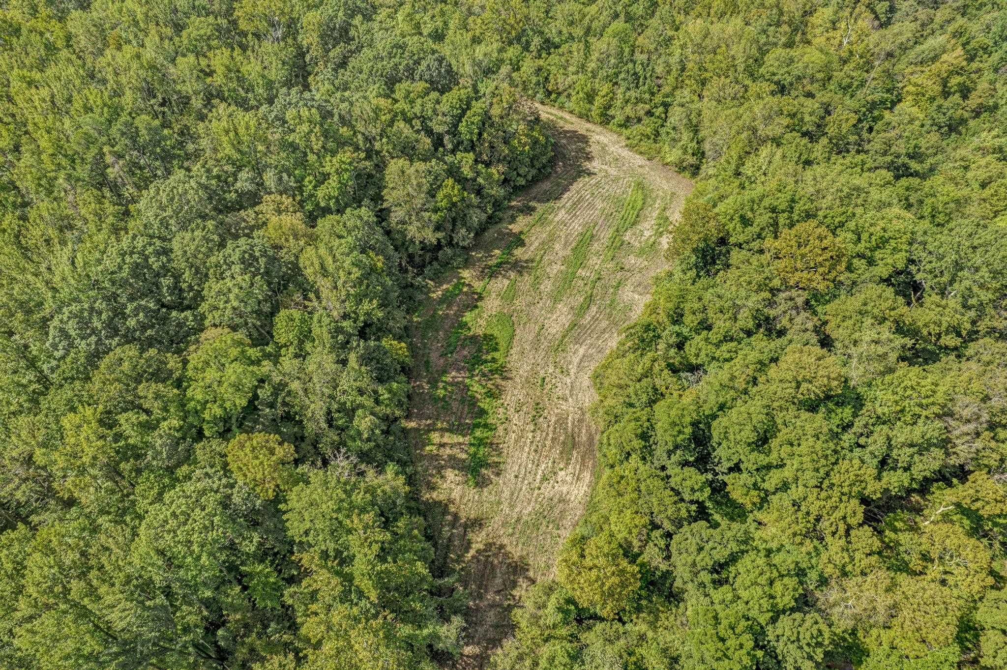 0 Herring Hill Road Millington, TN 38053 - Photo 11 of 12 a view of a forest