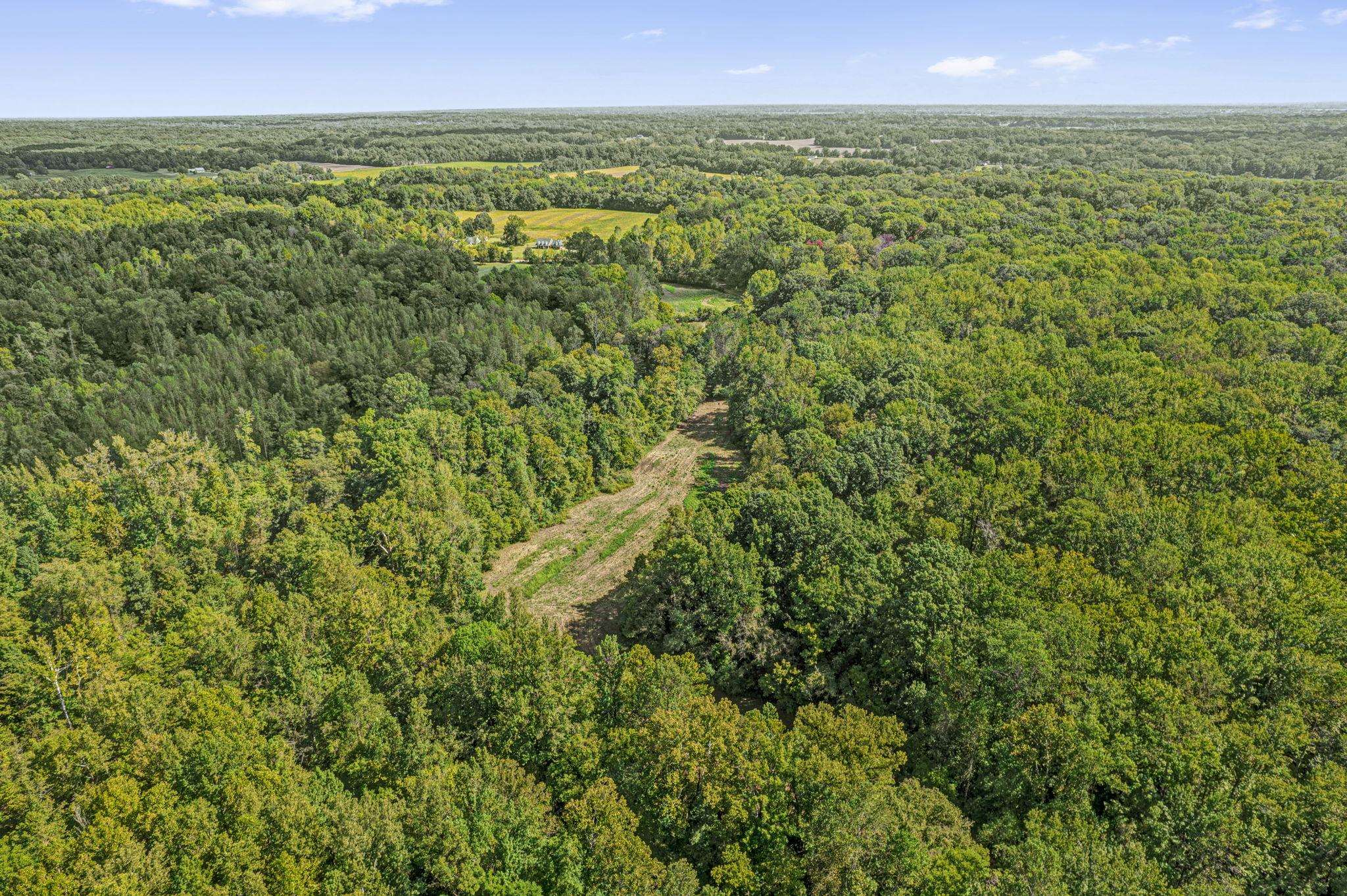 0 Herring Hill Road Millington, TN 38053 - Photo 12 of 12 a view of a green field with lots of bushes
