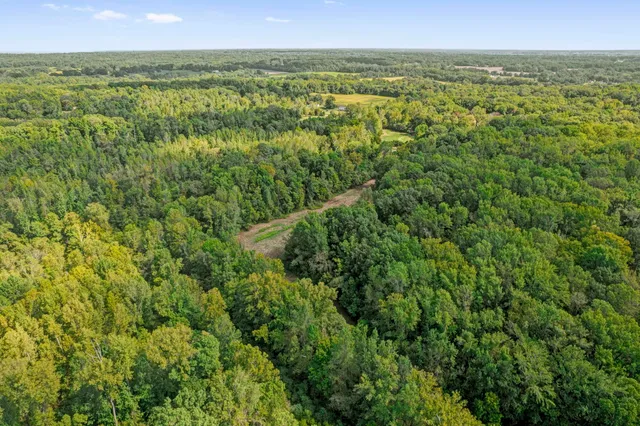 a view of a city with lush green forest