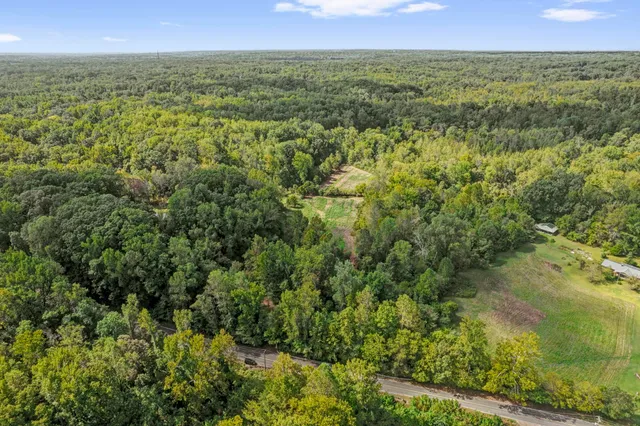 a view of a field with an ocean