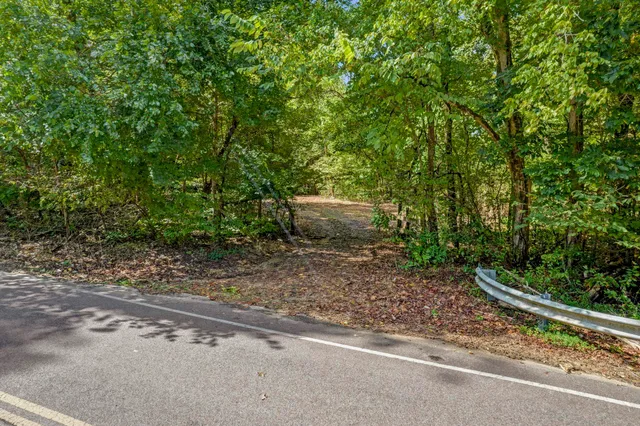 a view of a field with a lush green forest