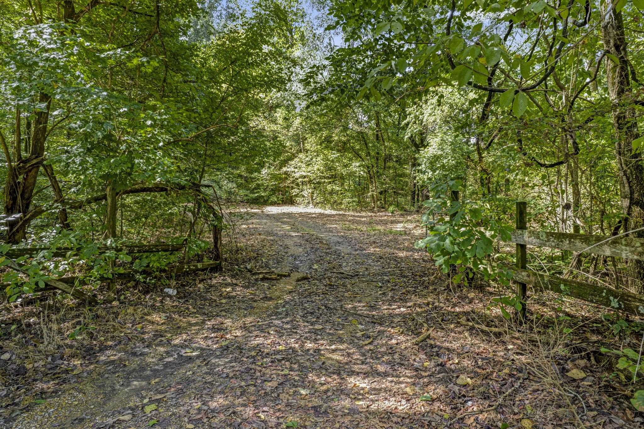0 Herring Hill Road Millington, TN 38053 - Photo 5 of 12 a view of a yard with a tree