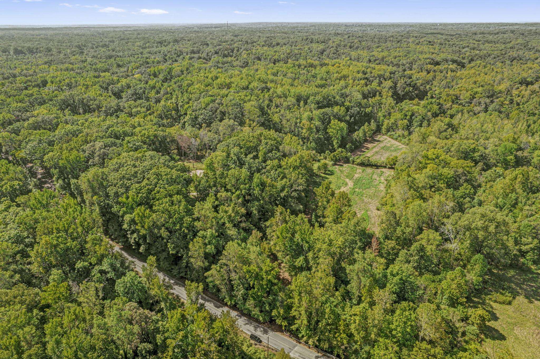 0 Herring Hill Road Millington, TN 38053 - Photo 6 of 12 a view of a field with a lush green forest