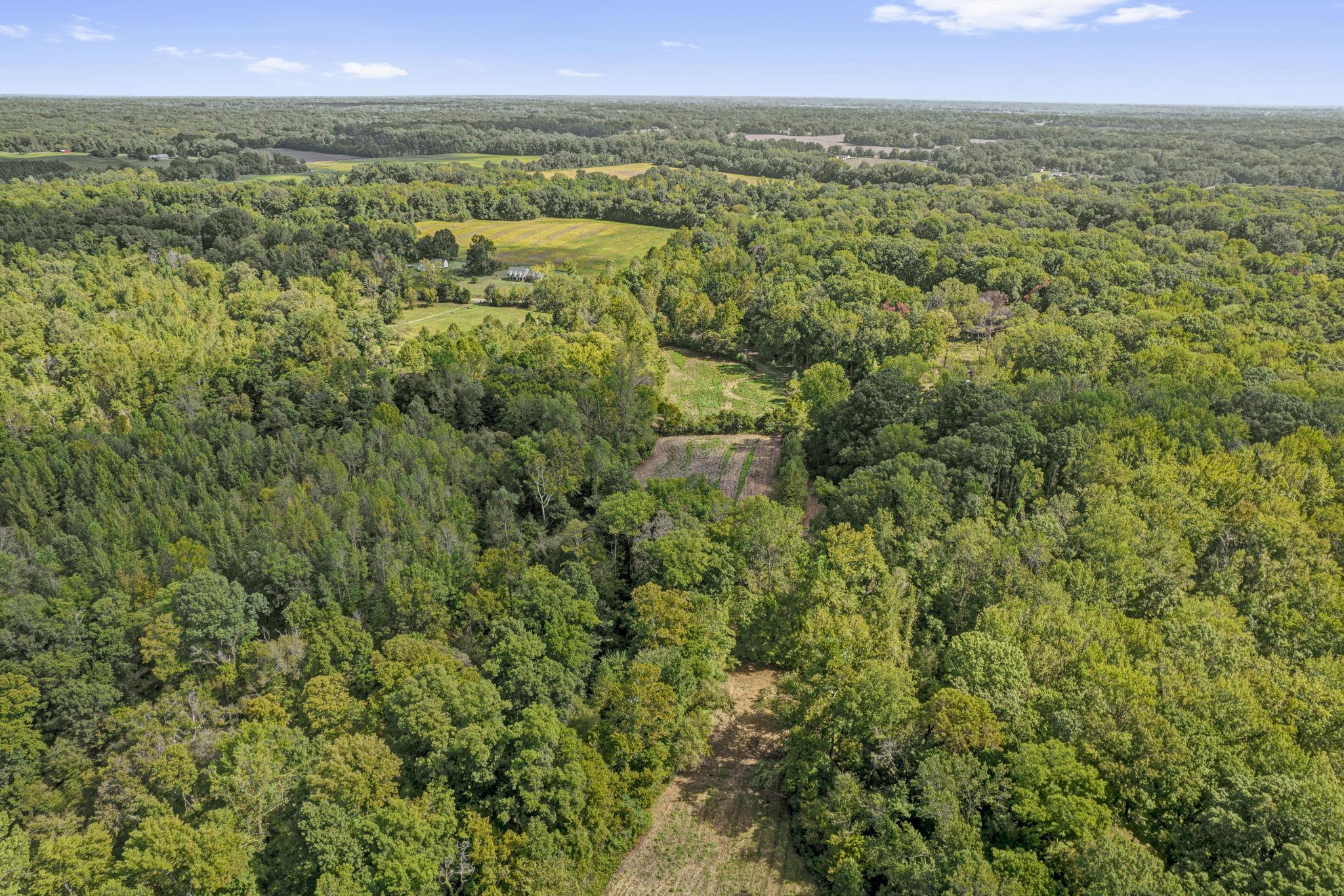 0 Herring Hill Road Millington, TN 38053 - Photo 9 of 12 a view of a city with lush green forest