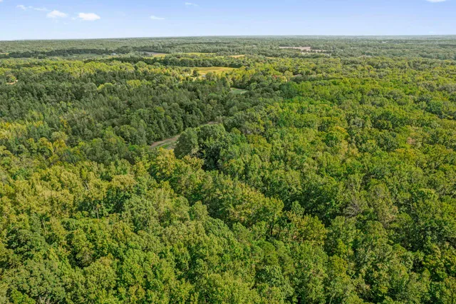 a view of a green field with lots of bushes