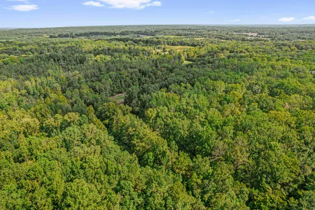 a view of a green field with lots of bushes
