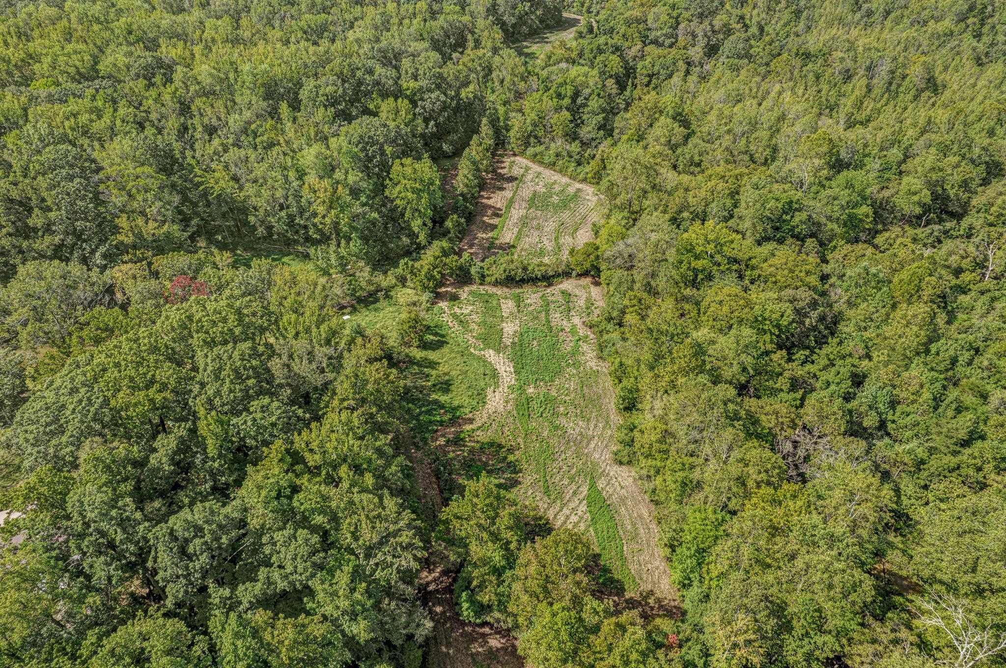 0 Herring Hill Road Millington, TN 38053 - Photo 10 of 12 a view of a lush green forest