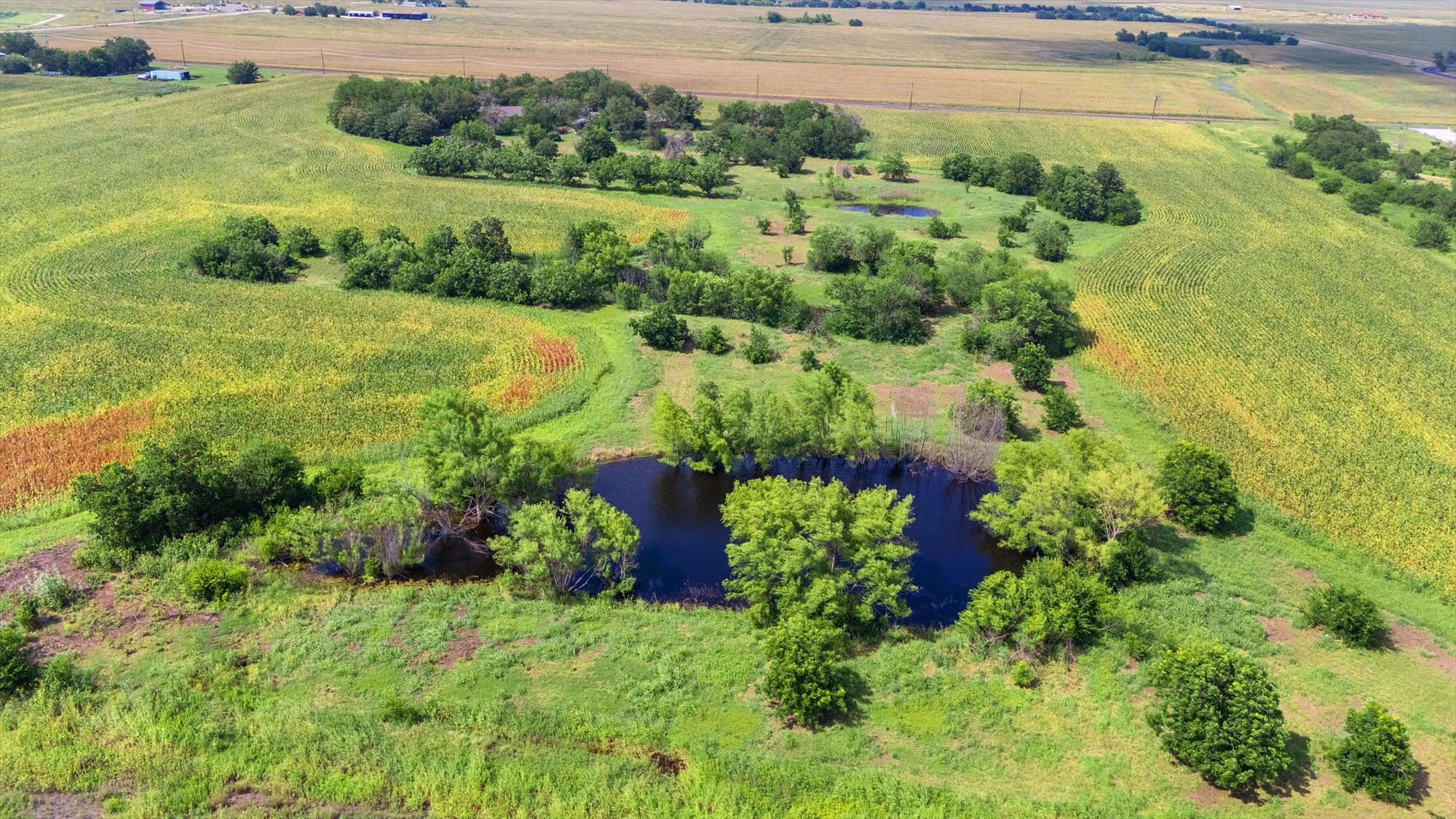 14201 Lund - Carlson Road Coupland, TX 78615 - Photo 7 of 40 Discover vast agricultural fields with natural ponds and verdant trees dotting the landscape.