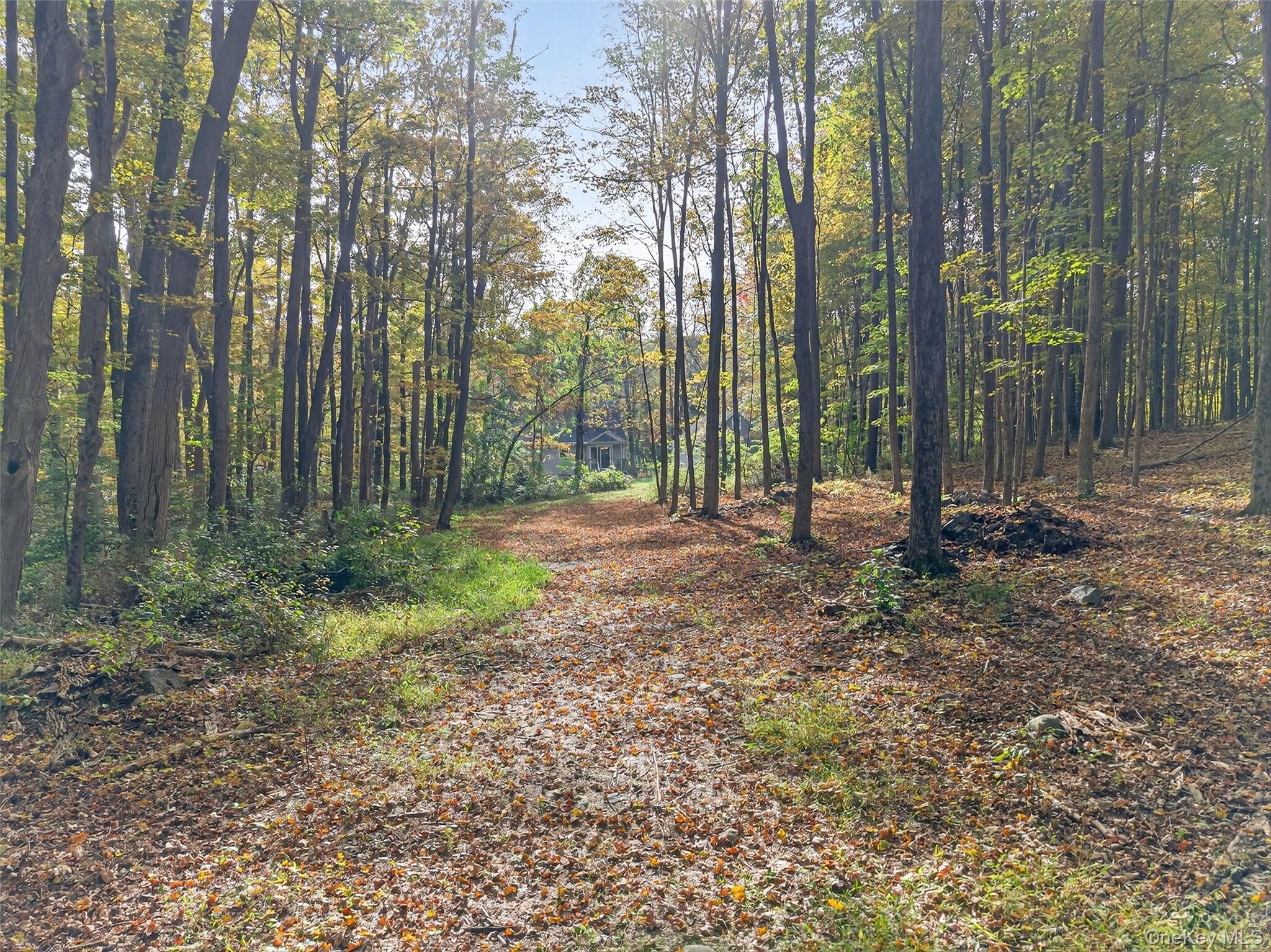 15 Nelson Road Monroe, NY 10950 - Photo 30 of 50 a view of outdoor space with green space