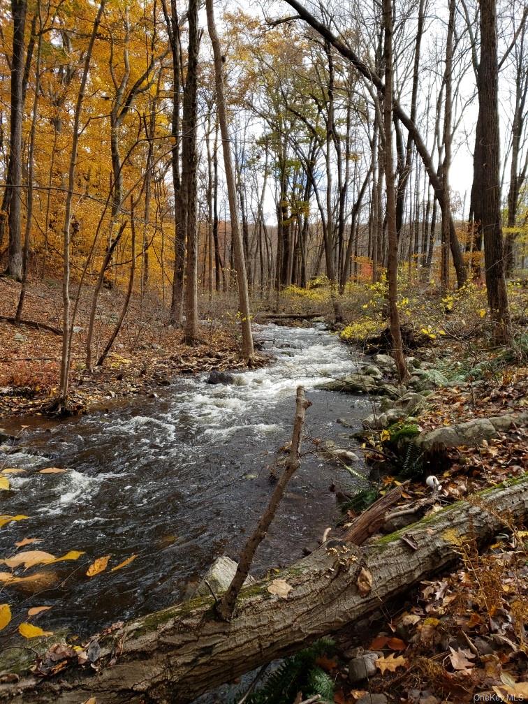 15 Nelson Road Monroe, NY 10950 - Photo 41 of 50 a view of dirt yard with a large tree