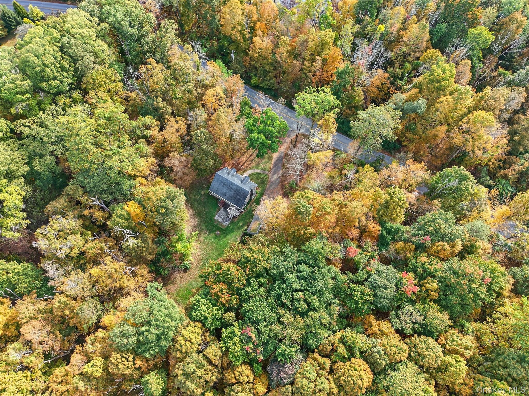 15 Nelson Road Monroe, NY 10950 - Photo 42 of 50 a view of a tree with a tree