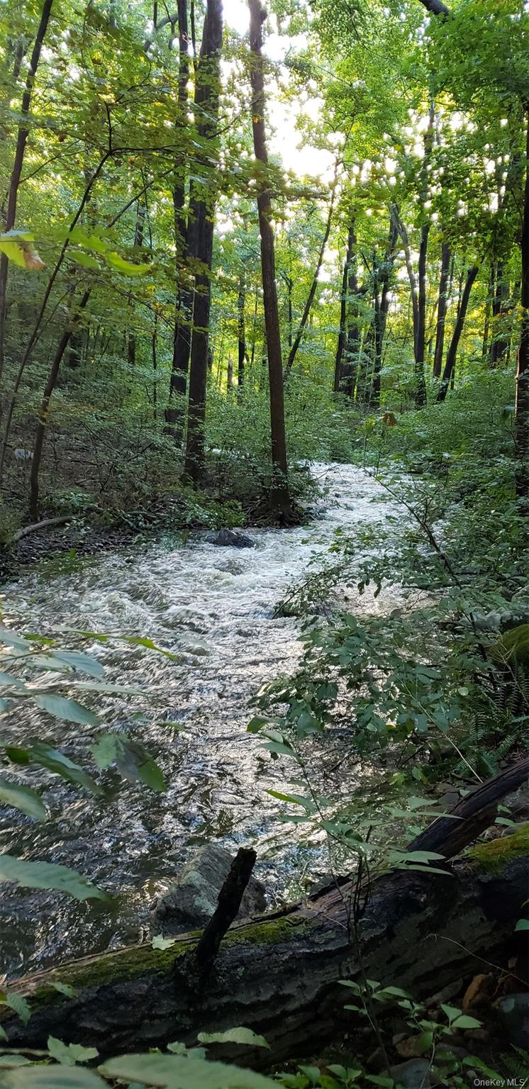 15 Nelson Road Monroe, NY 10950 - Photo 5 of 50 a backyard of a house with lots of green space