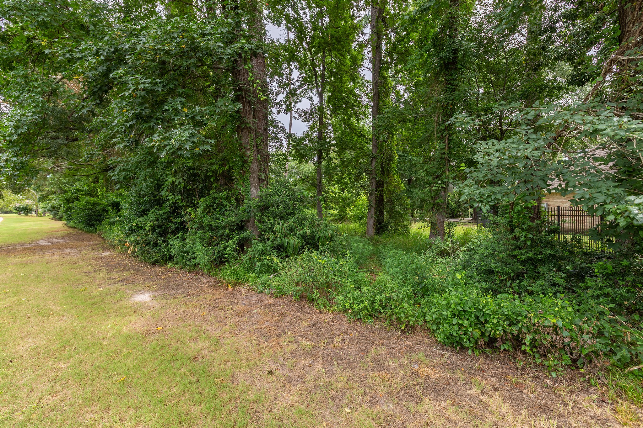 135 Jeb Stuart Lane Conroe, TX 77302 - Photo 12 of 16 a view of a forest with trees