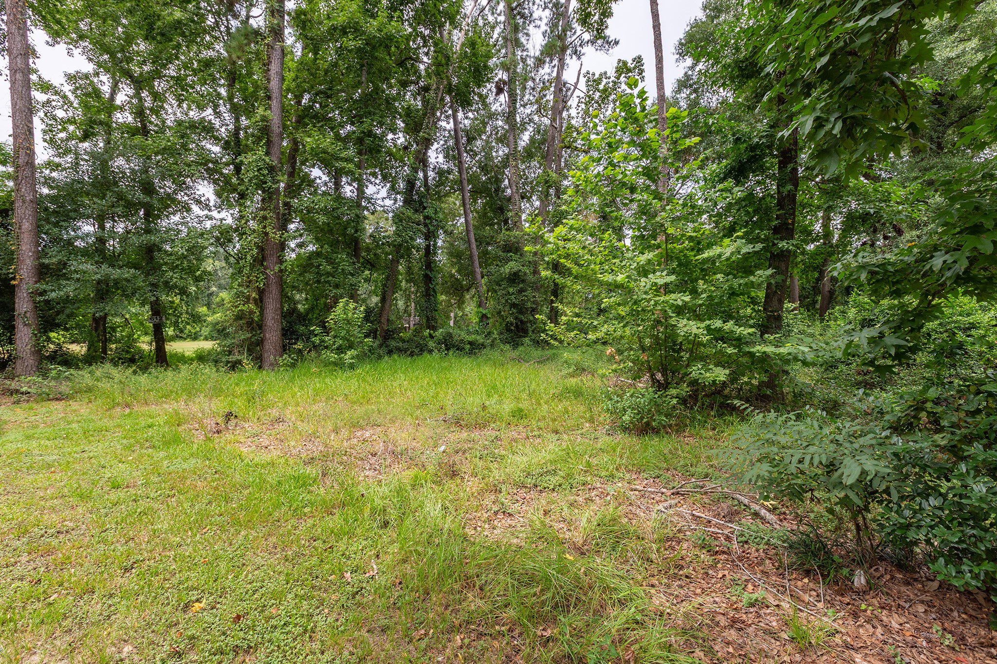 135 Jeb Stuart Lane Conroe, TX 77302 - Photo 14 of 16 a view of yard with green space