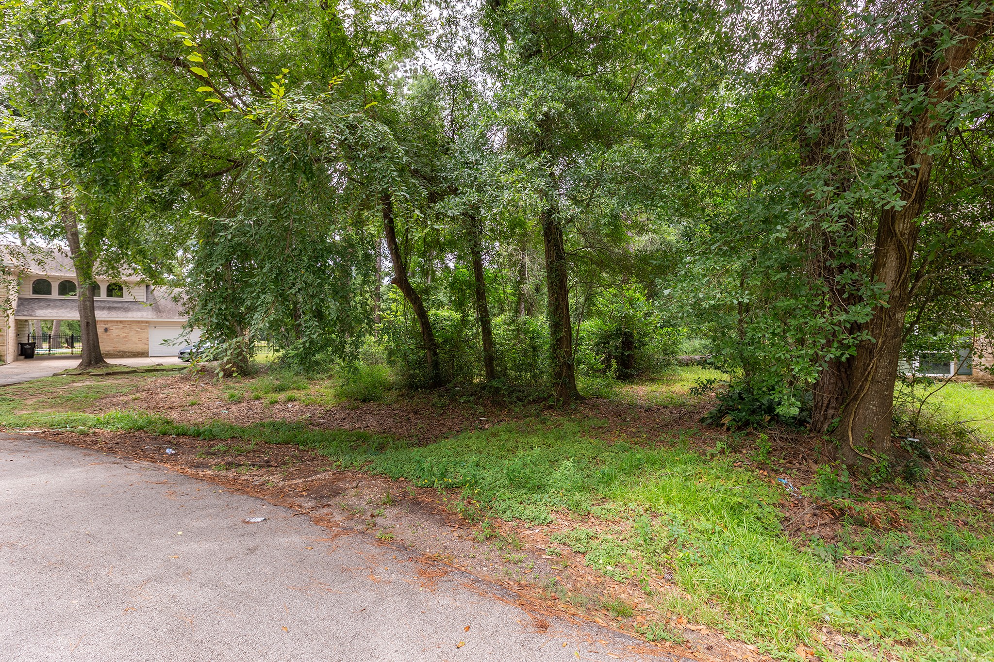 135 Jeb Stuart Lane Conroe, TX 77302 - Photo 6 of 16 a view of a forest with trees in the background