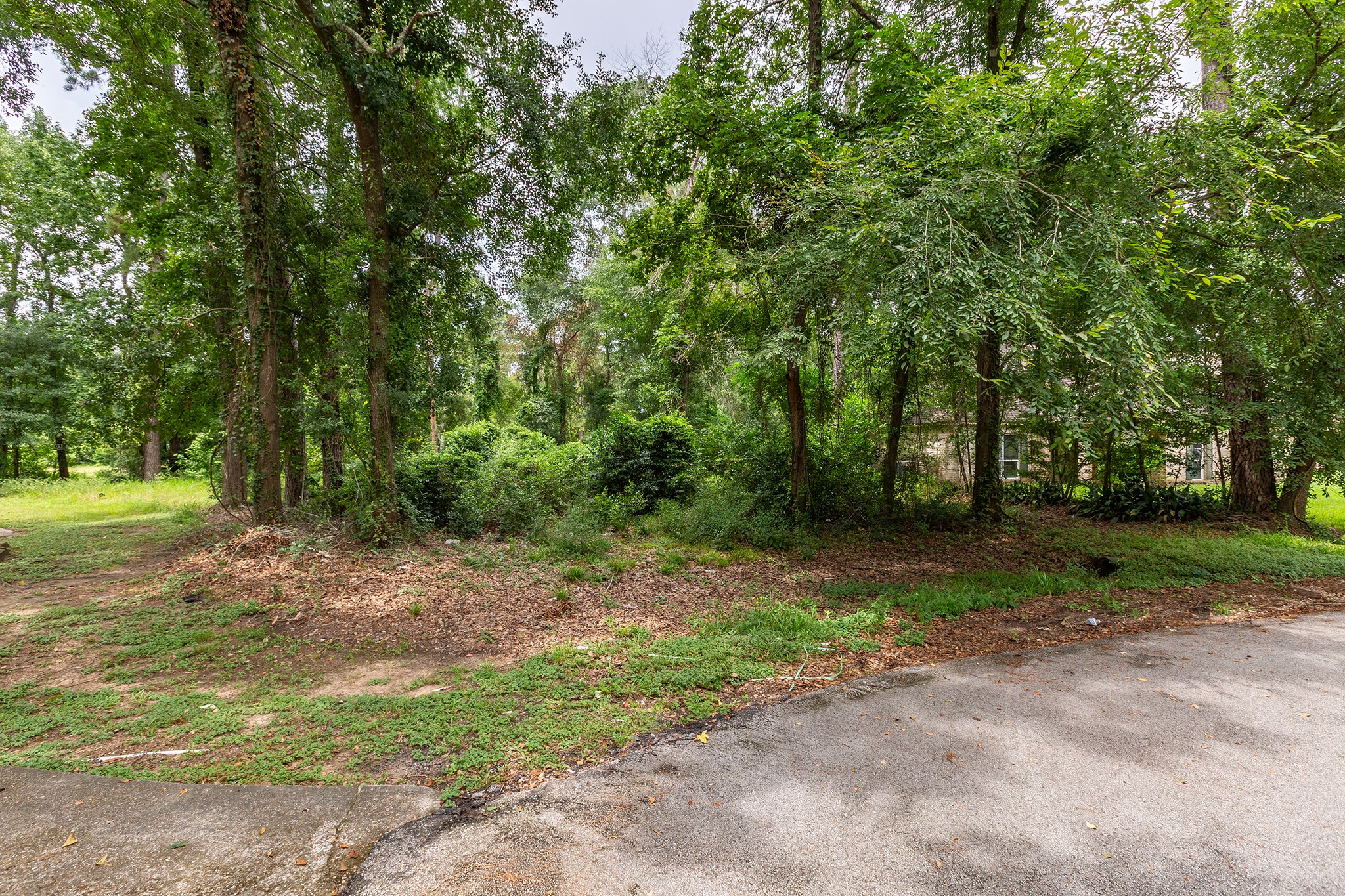 135 Jeb Stuart Lane Conroe, TX 77302 - Photo 7 of 16 a view of a road with trees