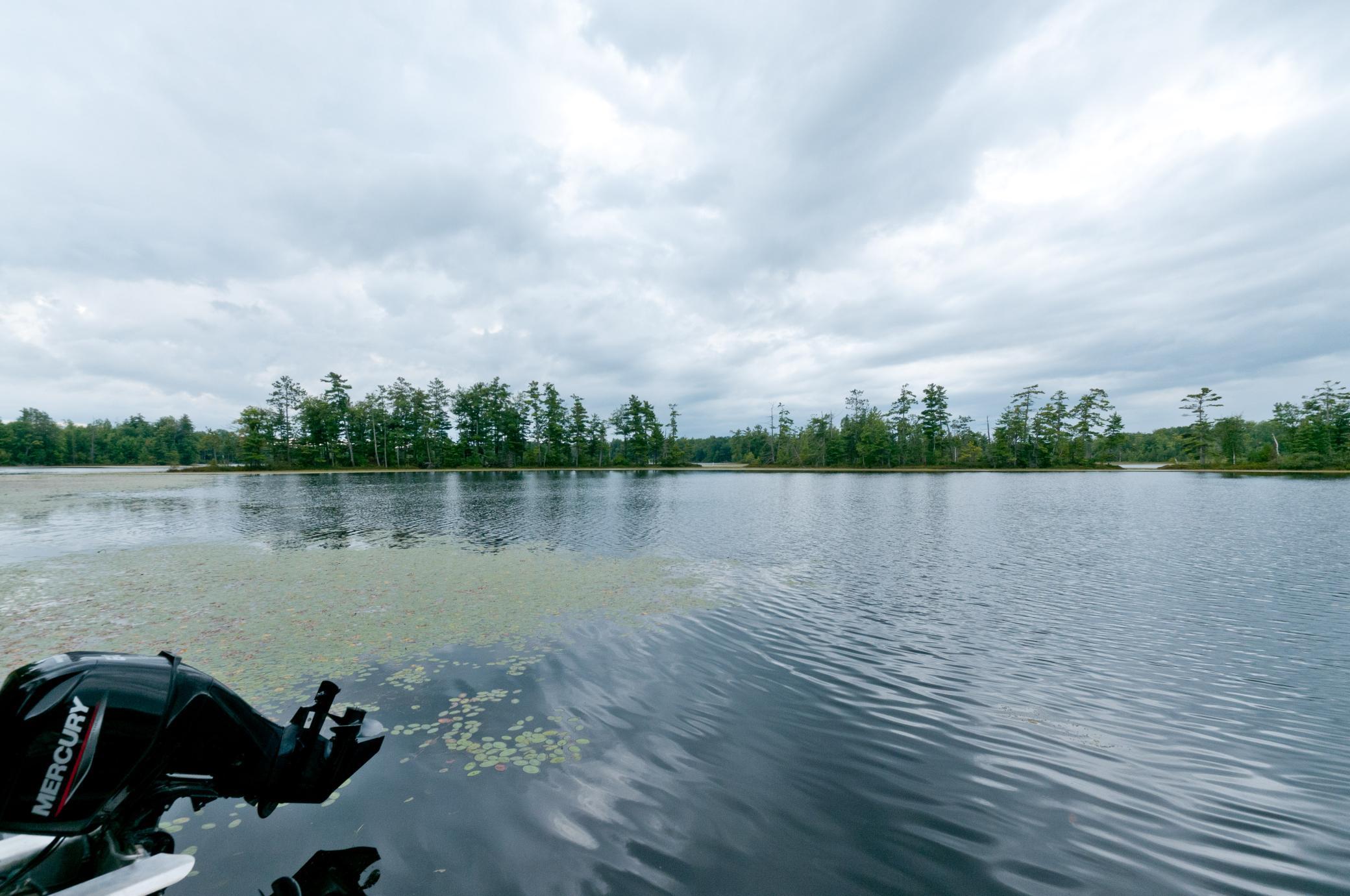 W15949 Bass Lake Road Rice Lake, WI 54868 - Photo 9 of 24