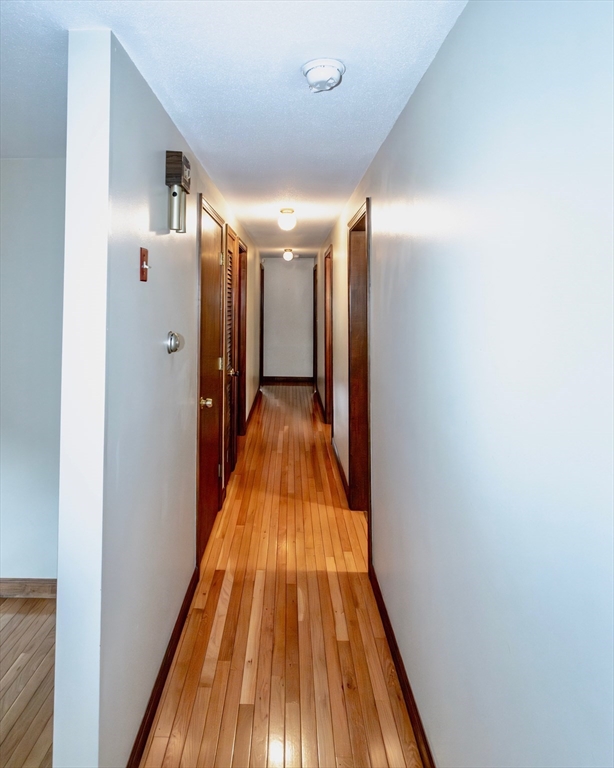111 Susan Drive Westfield, MA 01085 - Photo 31 of 39