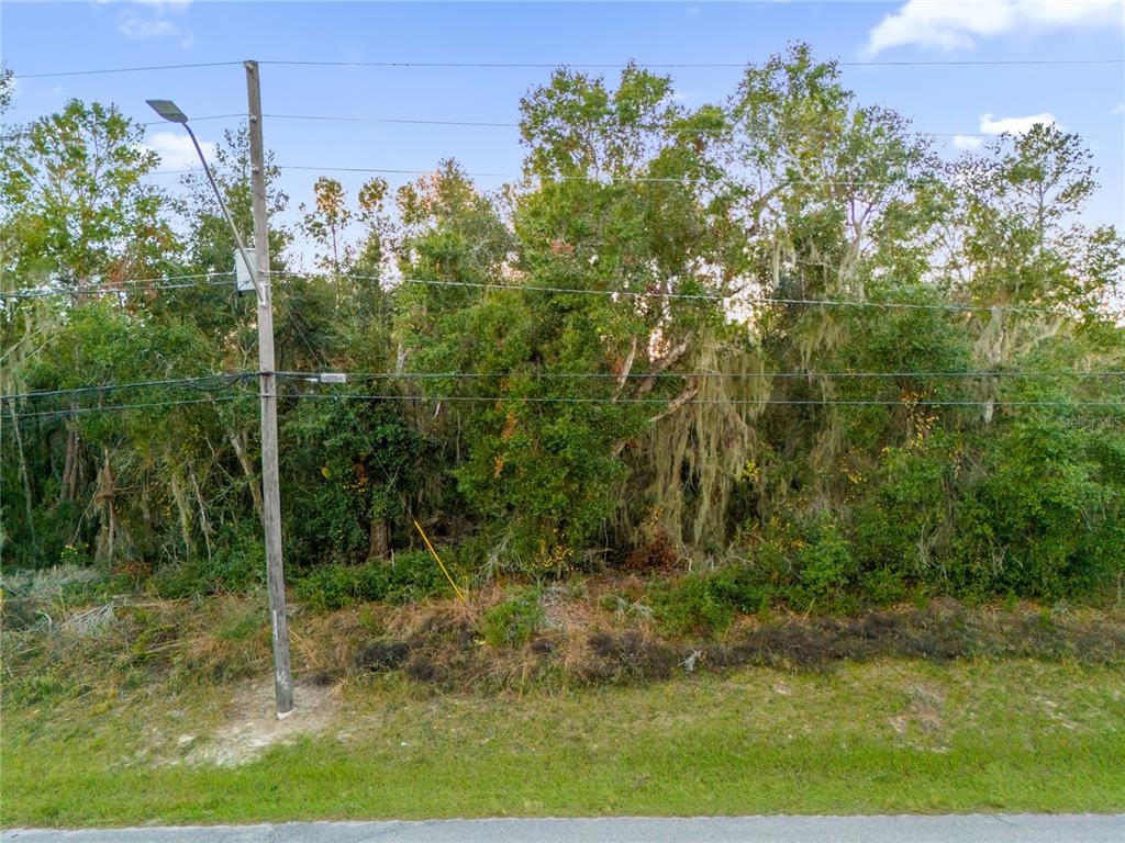 1785 Doyle Road Deltona, FL 32725 - Photo 9 of 27 a view of a forest