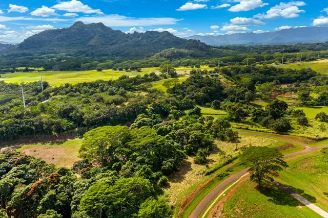 a view of a yard with an outdoor space