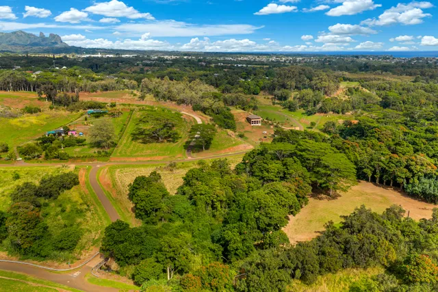 a view of a city with mountains in the background