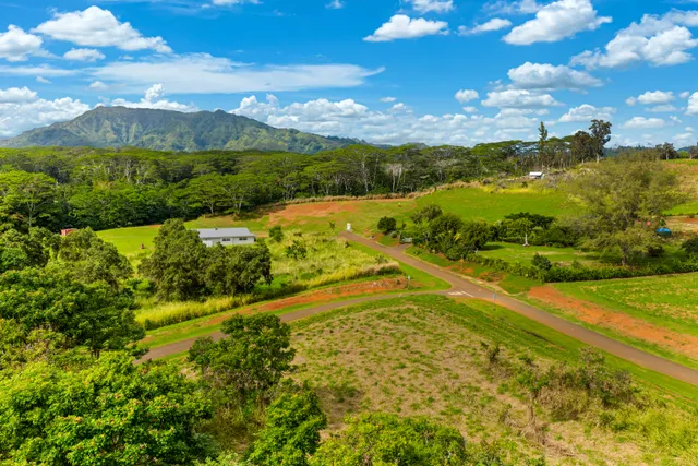 a view of an outdoor space yard