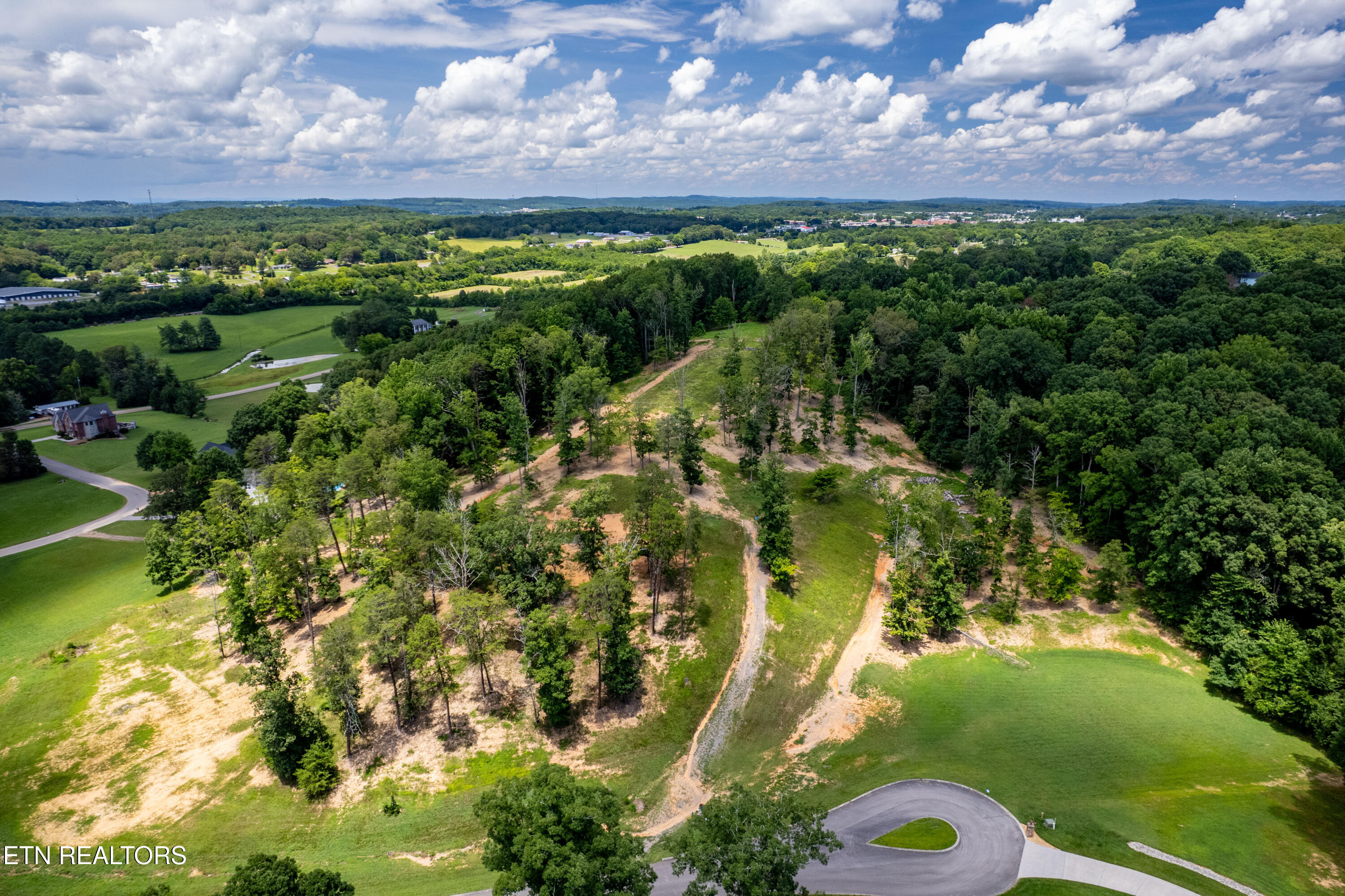 Lot 10 County Road Athens, TN 37303 - Photo 15 of 37 Lot10CoRd7005,Athens-3