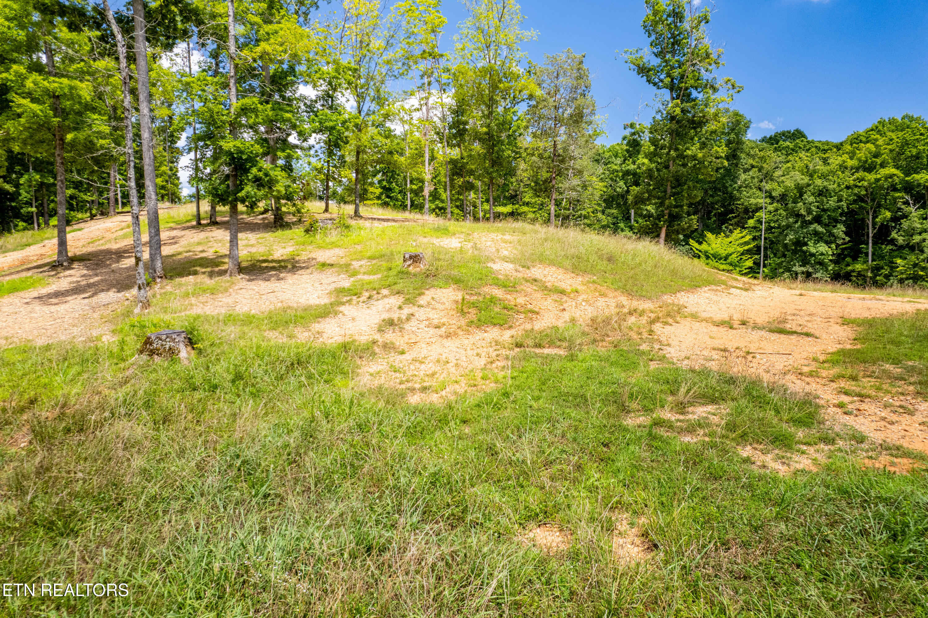 Lot 10 County Road Athens, TN 37303 - Photo 26 of 37 Lot10CoRd7005,Athens-28