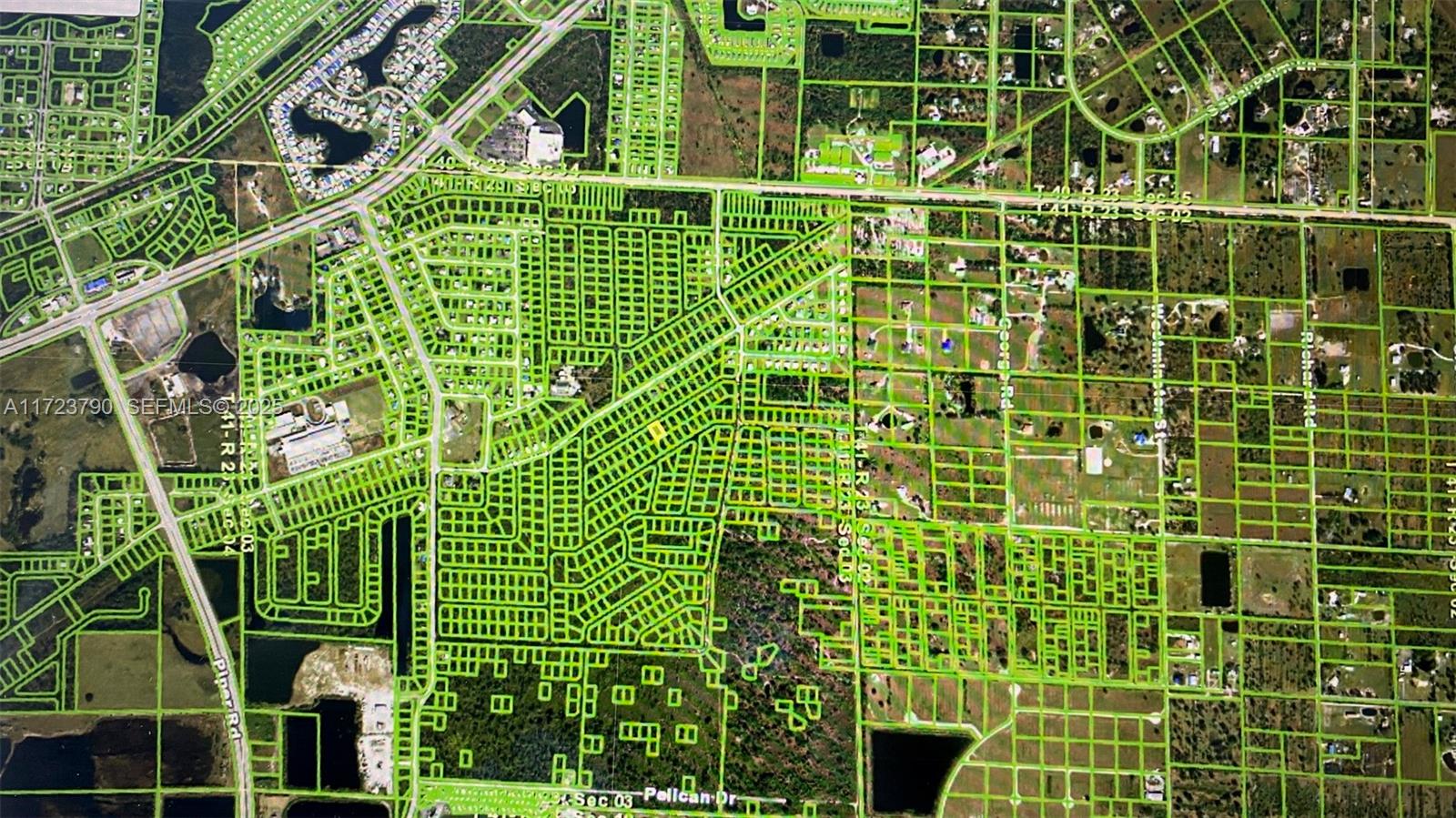 Cleveland Punta Gorda, FL 33982 - Photo 2 of 2 a close up of a plant in a garden