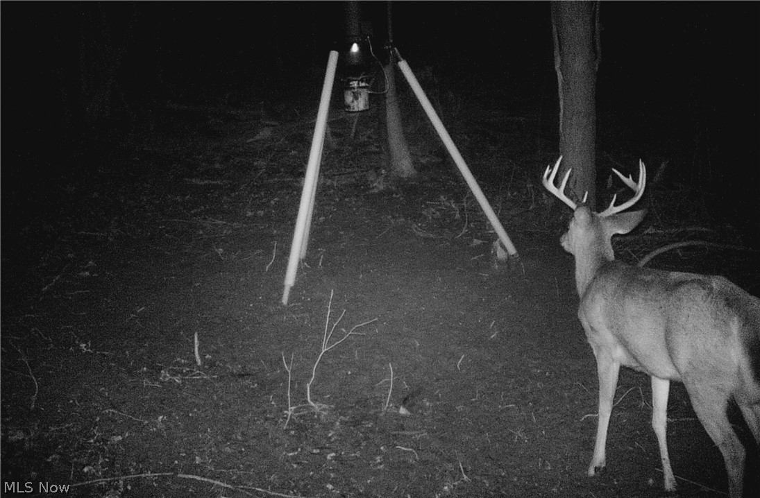Tabor Ridge Road Mineral City, OH 44656 - Photo 16 of 33 Gallery Image 16