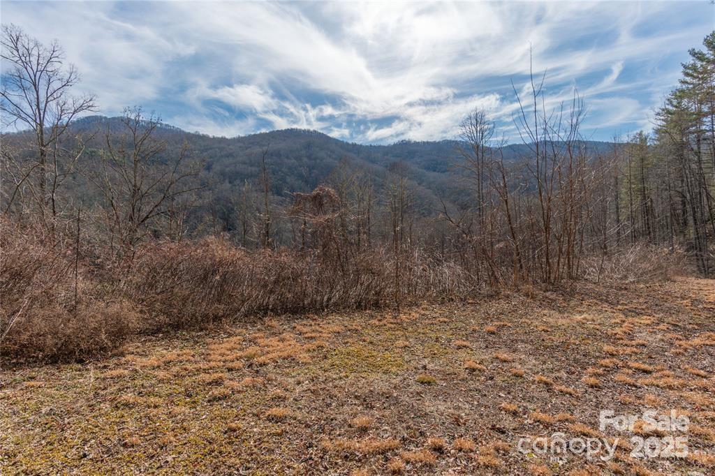 2 Tilley Creek Road Cullowhee, NC 28723 - Photo 1 of 8 a view of backyard with green space